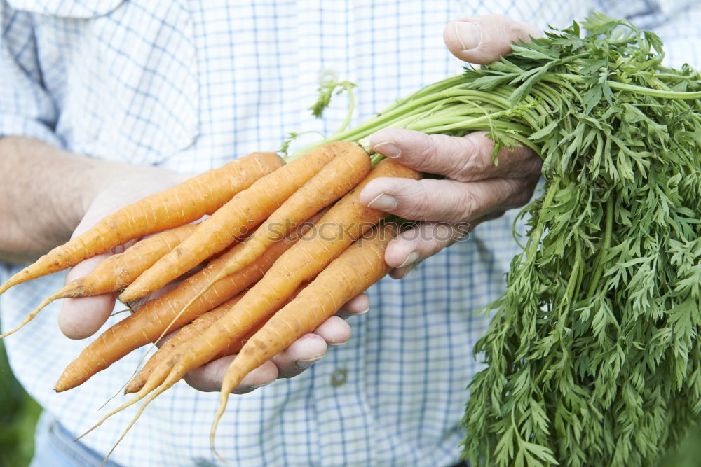 Similar – Image, Stock Photo Carrots Vegetable