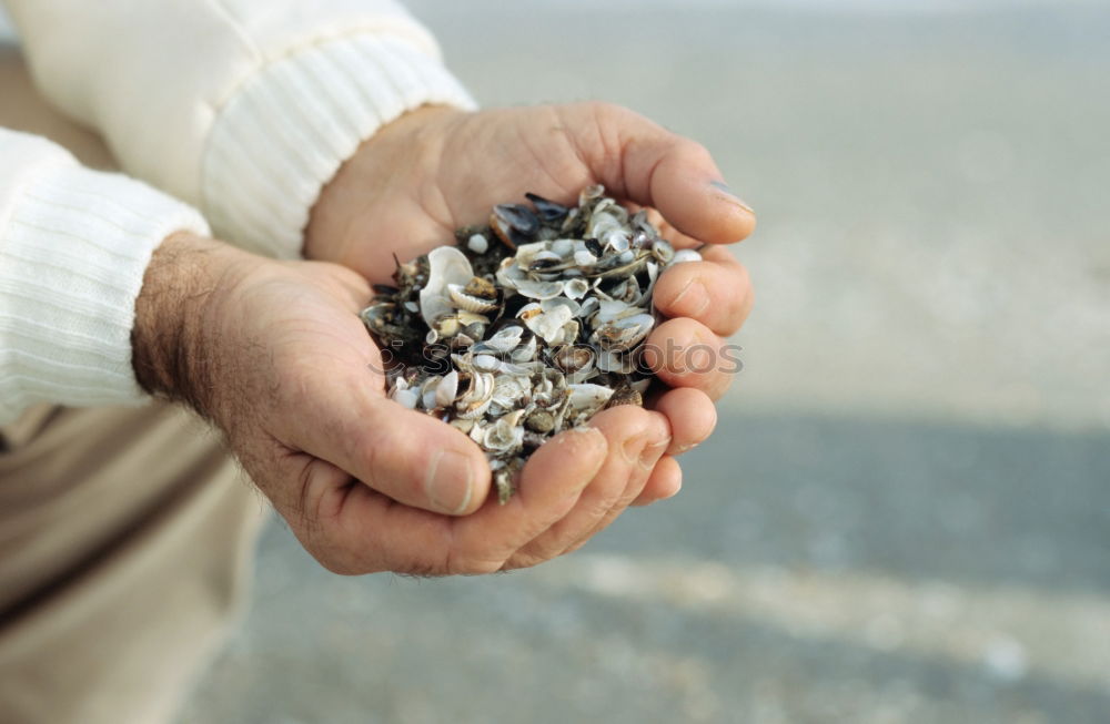 Similar – Image, Stock Photo My Life is The Coal Art