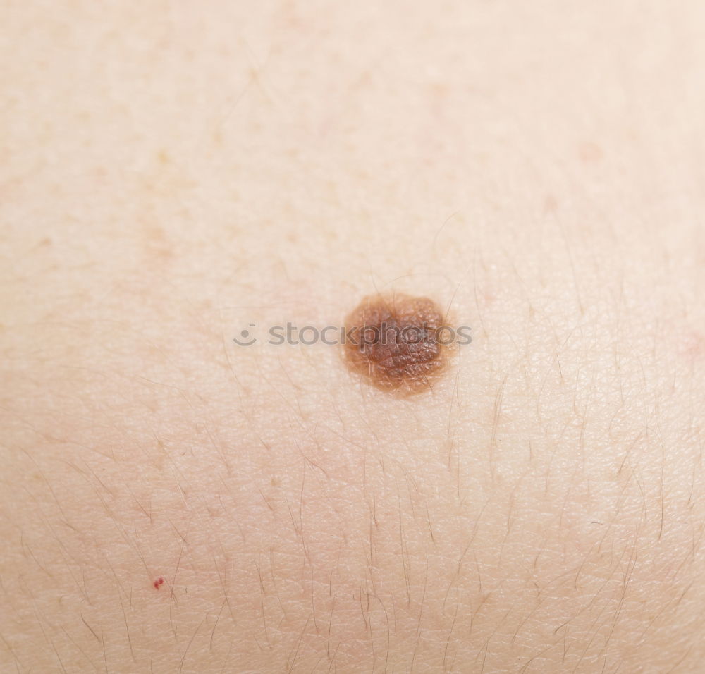 Similar – umbilicus Fluff Navel