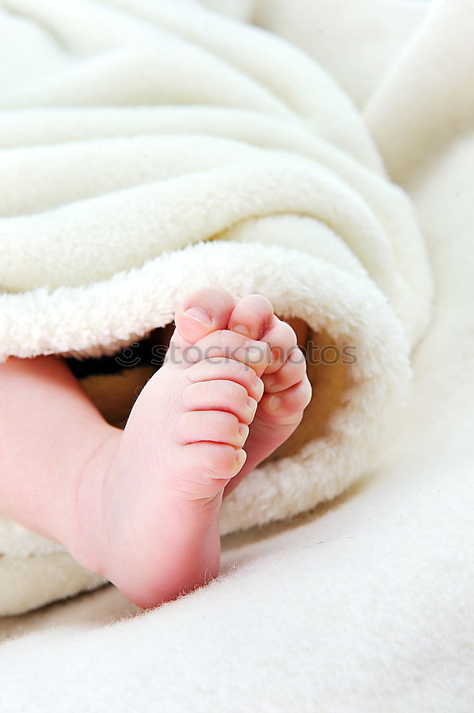 Similar – Image, Stock Photo 6 months Feet