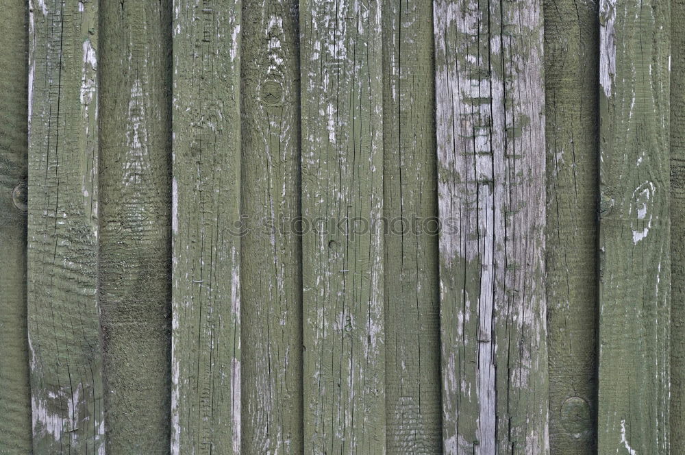 Similar – Image, Stock Photo frozen wood Environment