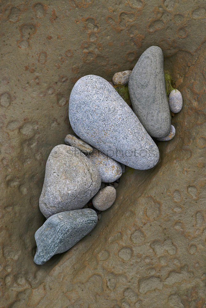 Similar – SandStrandStein schwarz