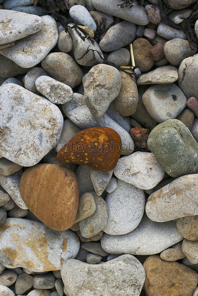 Similar – Image, Stock Photo Wet Red Pepples At Atlantic Coast in Scotland