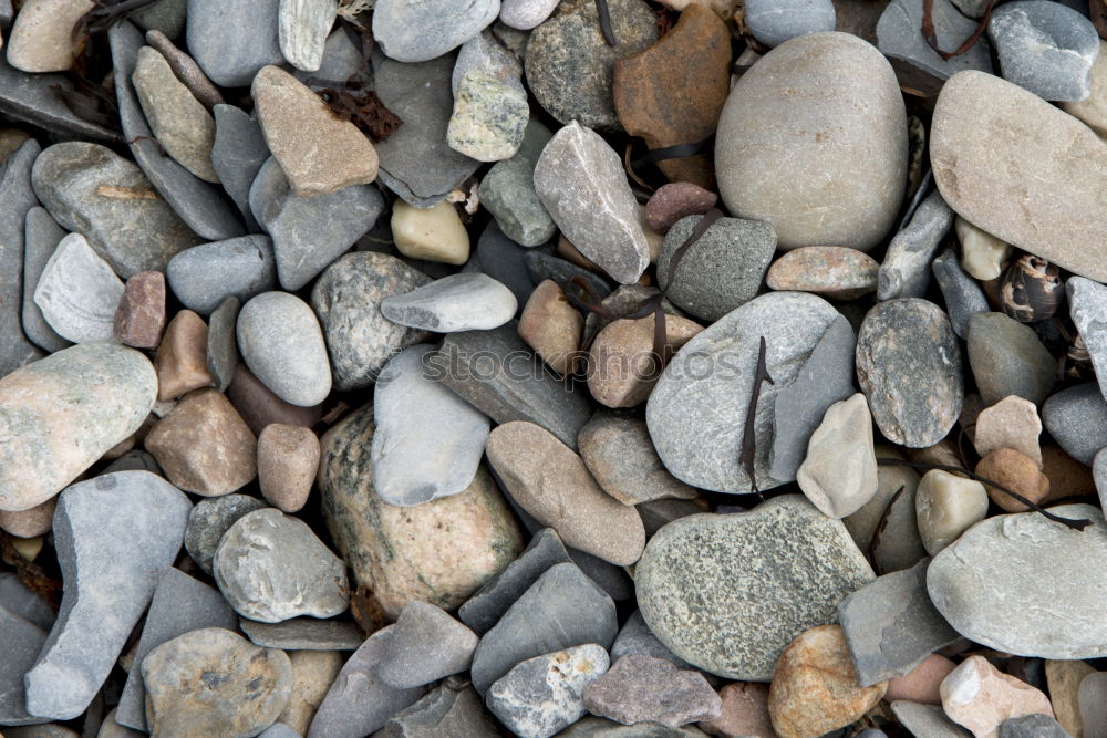 Similar – stones Beach Stone