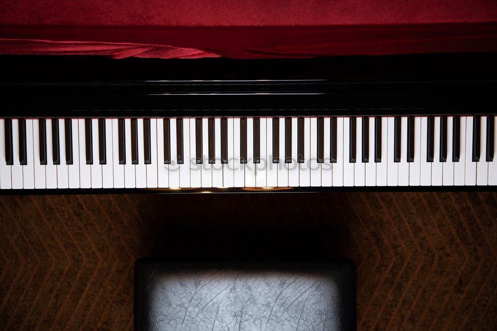 Similar – Image, Stock Photo Young woman playing a piano at home