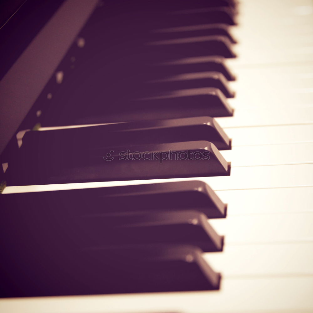 Similar – Image, Stock Photo mon piano Keyboard Piano