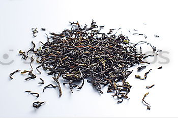 Similar – teatime Dried Dry Blossom