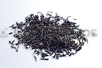 Similar – teatime Dried Dry Blossom