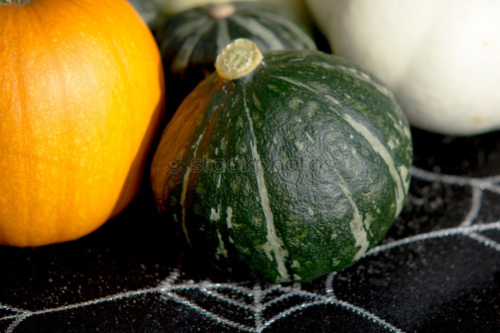 Similar – Image, Stock Photo pumpkin basket Food Fruit