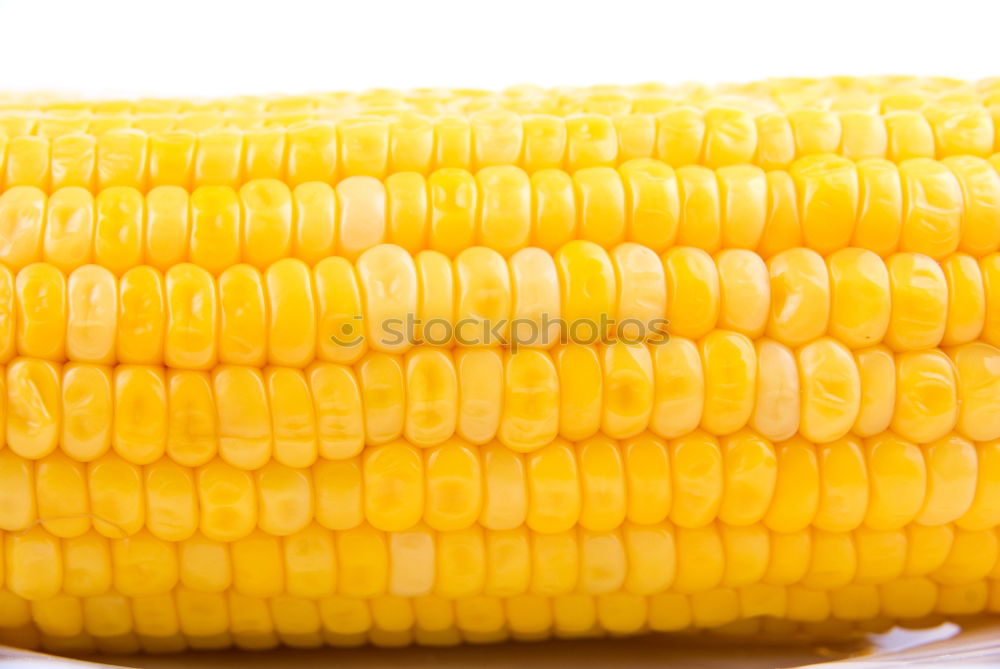 Similar – Image, Stock Photo eat corn Food Grain Picnic