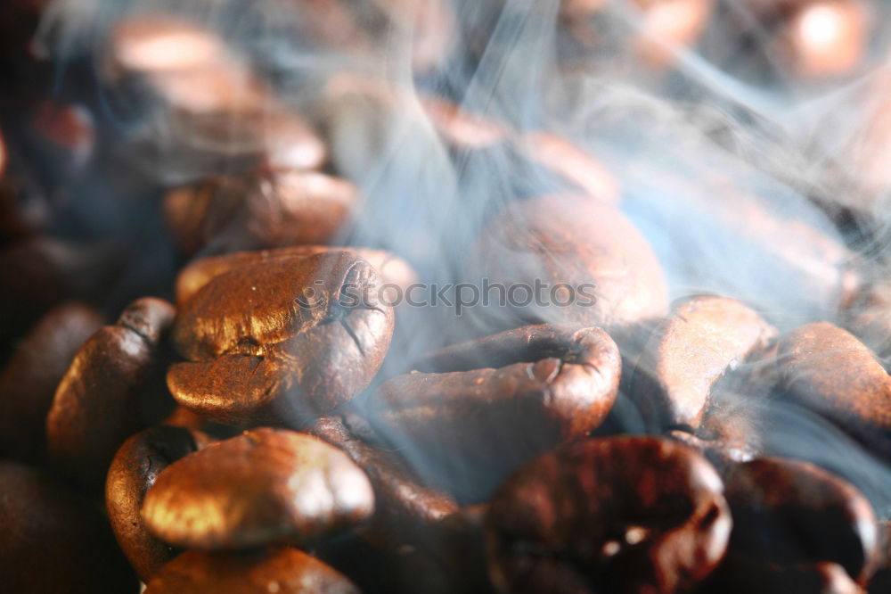 Similar – Image, Stock Photo Ashes on my head Ashtray