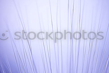 Similar – Image, Stock Photo shaft Air Spring