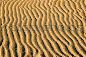 Similar – beach shapes Sand Beach