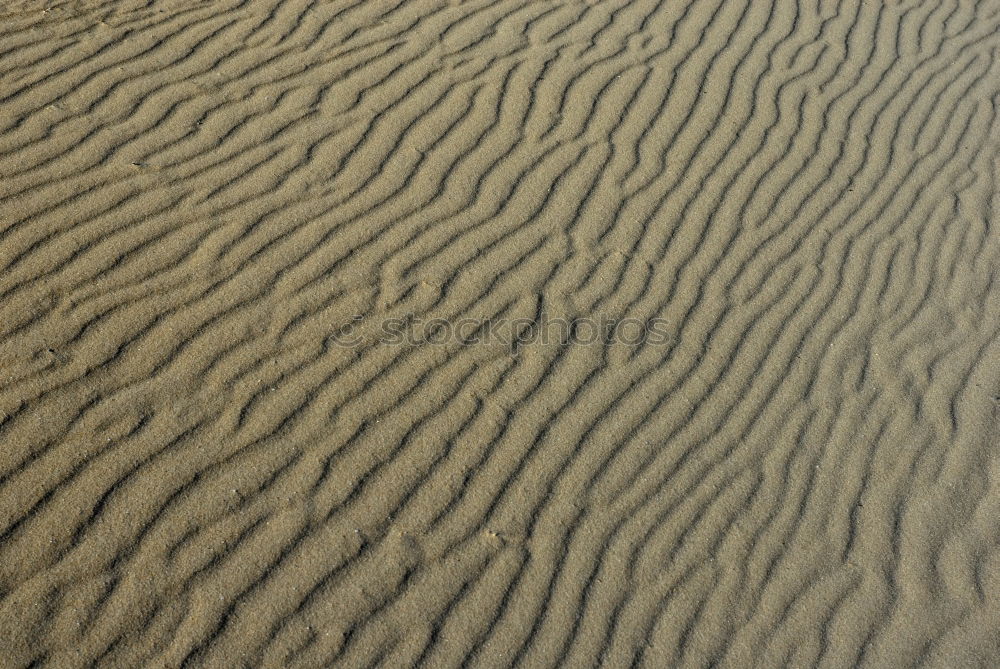 beach shapes Environment