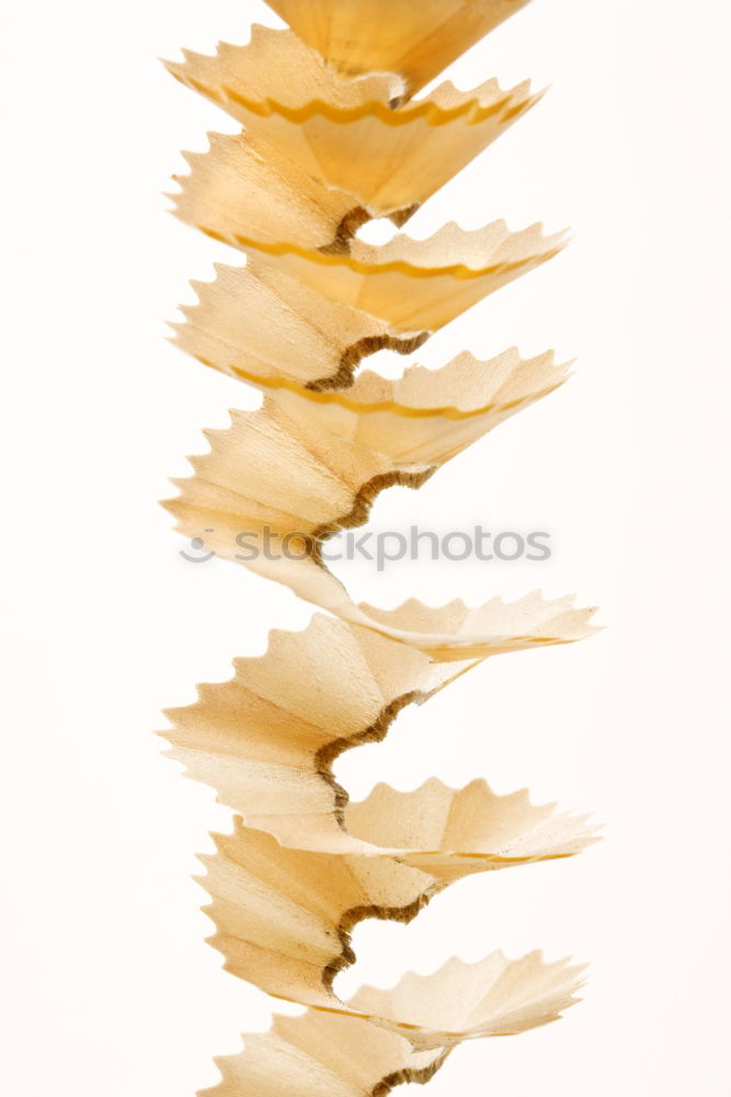 Similar – Image, Stock Photo Jammy Cachu on beige Art