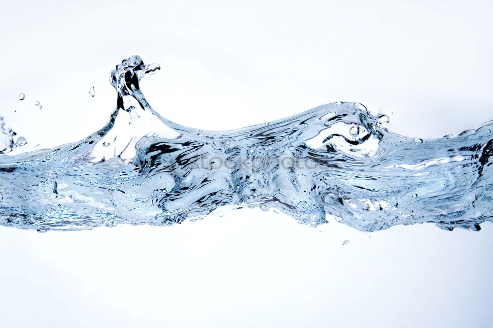 Similar – Image, Stock Photo twig with leaf, which is covered with ice rain