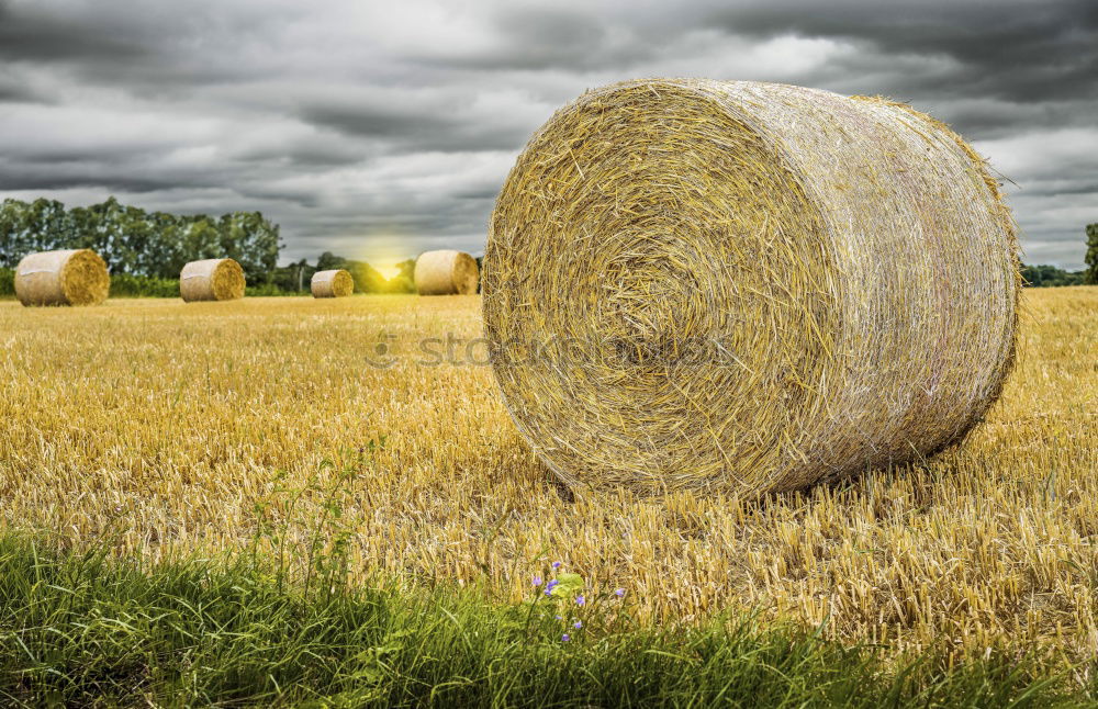 Similar – Image, Stock Photo auf´m Country