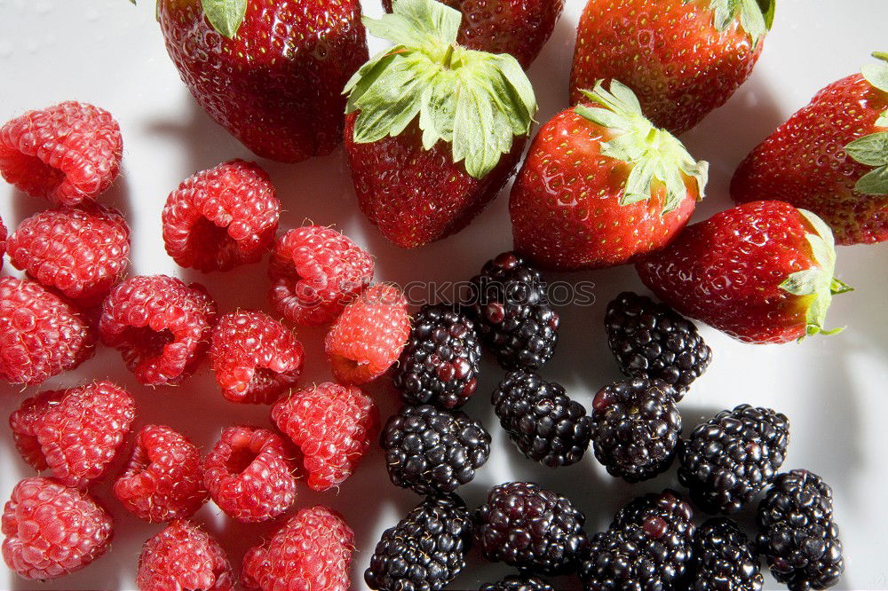 Similar – Image, Stock Photo A bowl full of berries