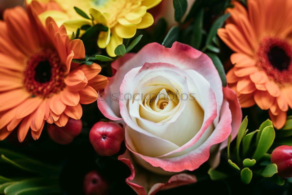 Similar – Image, Stock Photo Bouquet on red background