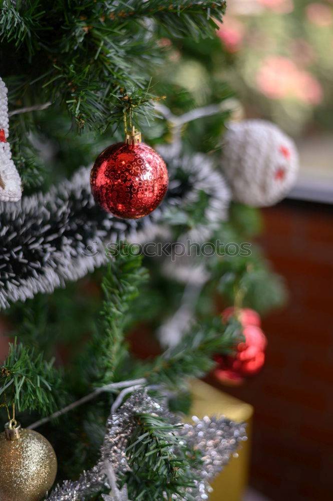 Similar – Image, Stock Photo Nostalgic Christmas decoration with delicate fir branches, red bauble and vases on an old table. Red christmas bauble hangs shiny on twigs. Glowing Christmas bauble hanging from branches in old white nostalgic porcelain pots at home.