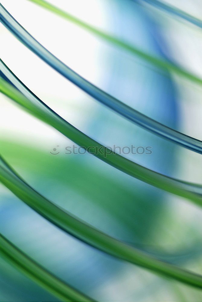 Similar – Image, Stock Photo date rice Plant Date