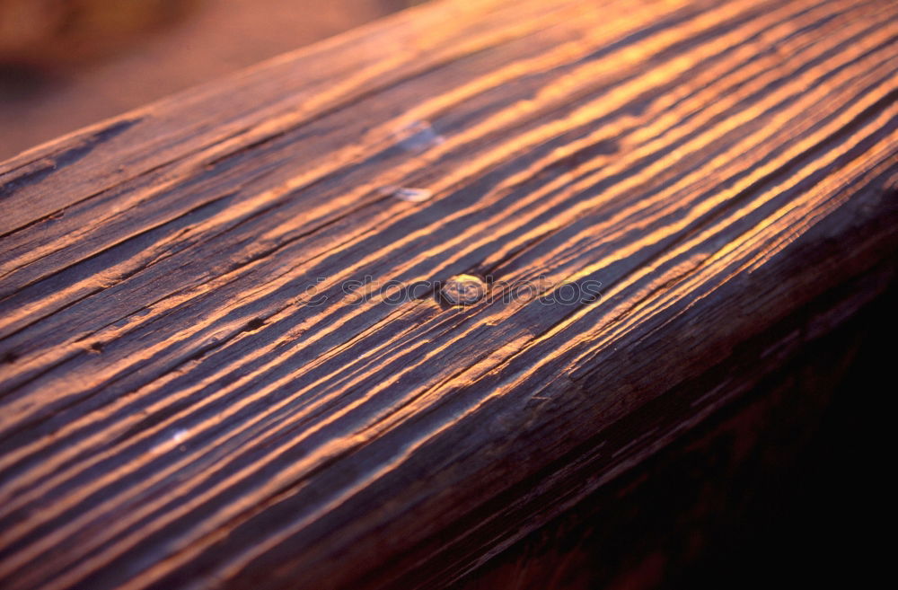 Similar – Image, Stock Photo Barefoot Water Drops Joy