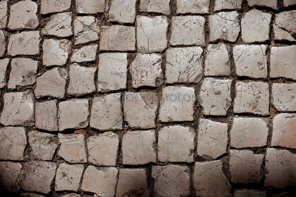 Similar – Image, Stock Photo enjoy watering Tar