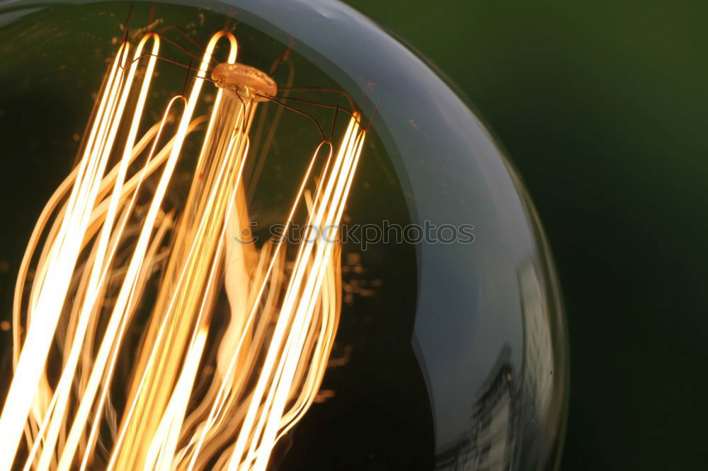 Similar – Image, Stock Photo Crop woman touching lamp
