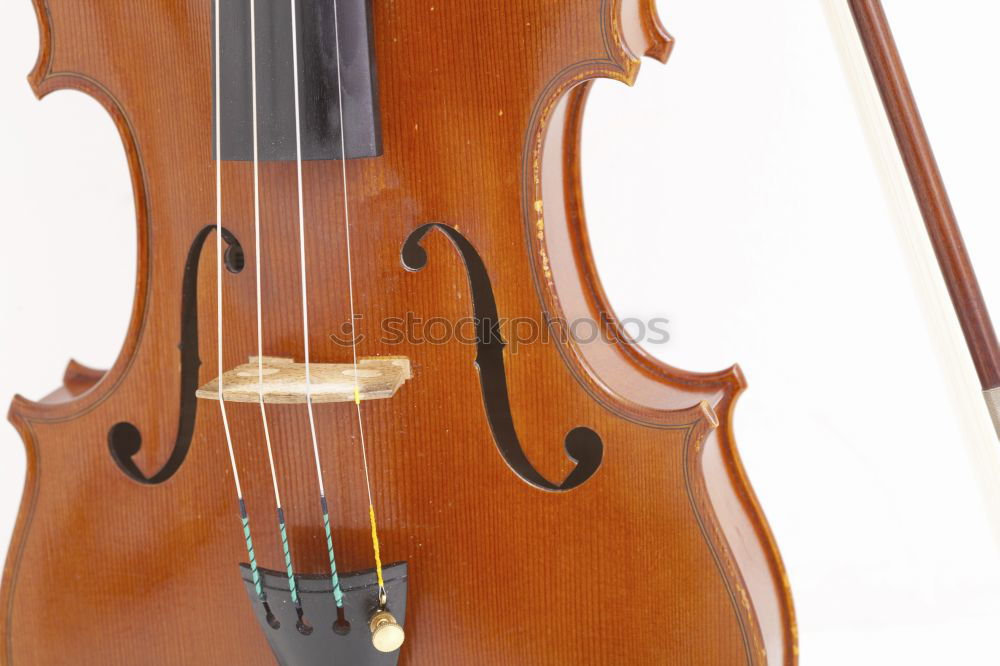 A violin photographed from above and very close up. You can see the bridge, the F holes, a part of the metal sides, a part of the light wood body and a part of the black fingerboard of the instrument.