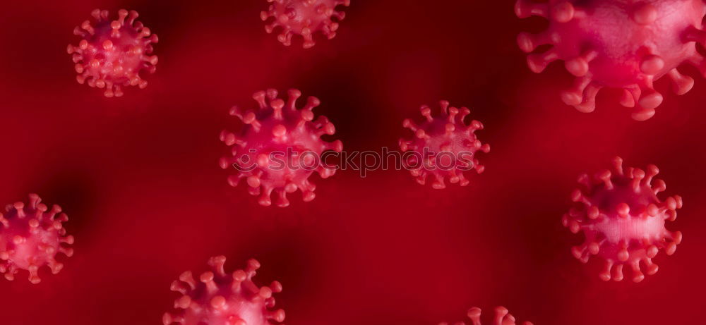 Similar – Image, Stock Photo hibiscus blossom, stamps, dust containers