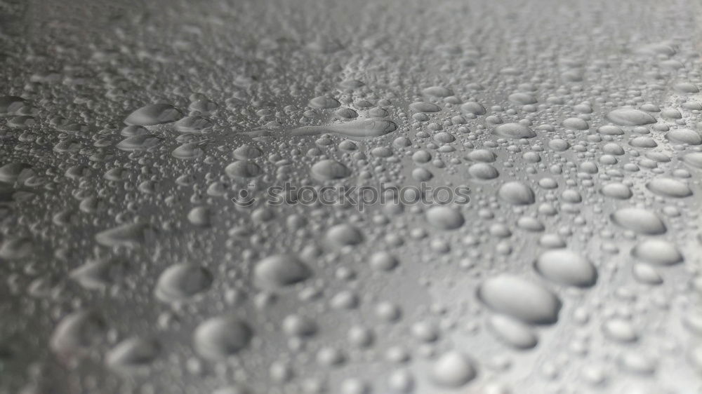 Similar – Image, Stock Photo dew drops Window Wet Cold