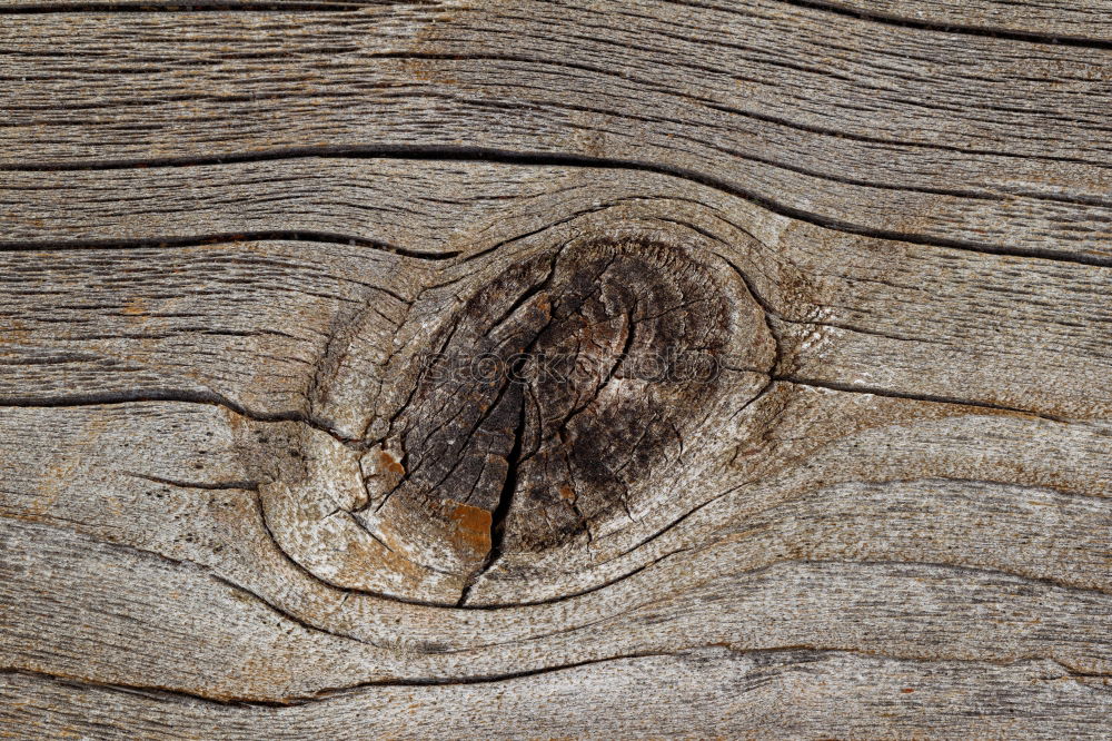 Image, Stock Photo knot hole Wood