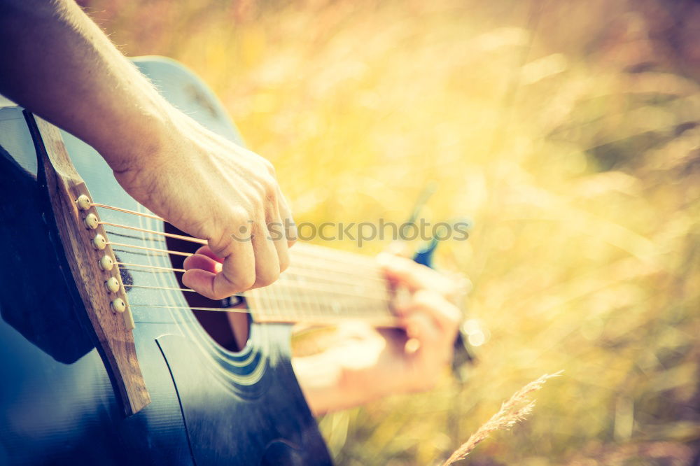 Hand mit Ukulele im Wald