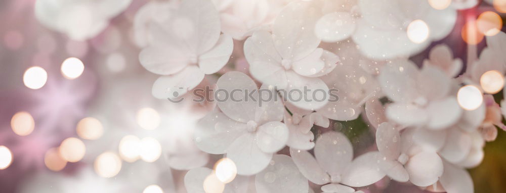 Similar – Image, Stock Photo winter in London Lifestyle