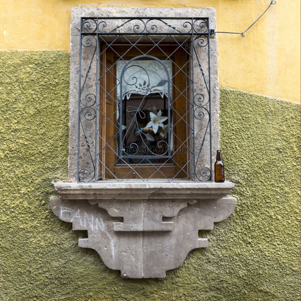 Similar – Einäugige Katze Mauer Wand