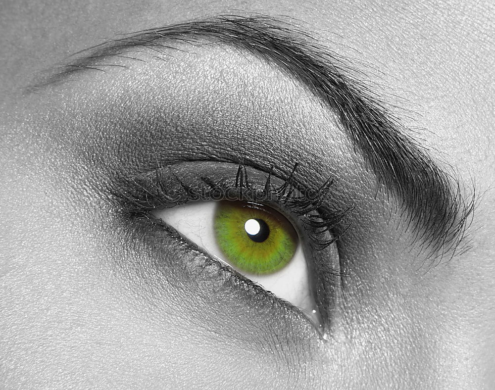 Similar – Image, Stock Photo Take a look °° BW Eyelash