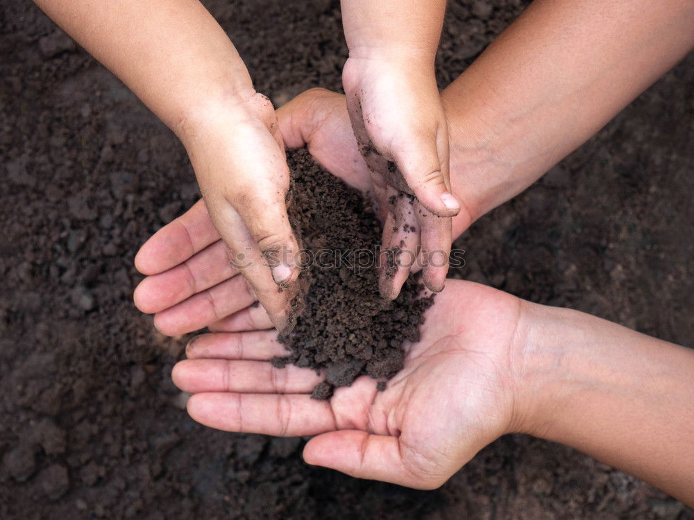 Similar – Image, Stock Photo Hands full with fertile soil