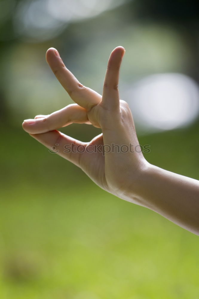 Statue of white deer on finger.