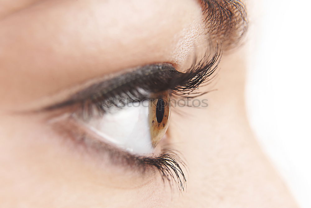 Similar – Closeup eye Human being