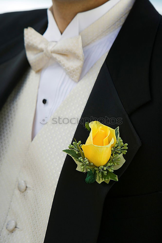 Similar – Image, Stock Photo wedding bouquet of flowers