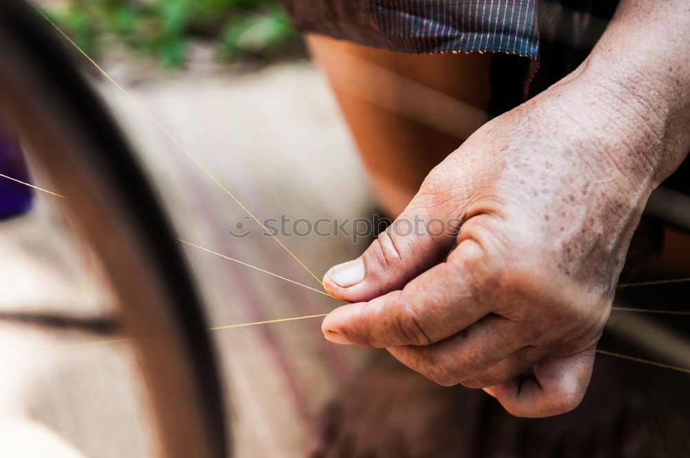 Similar – Image, Stock Photo Child holds beans seeds in hand