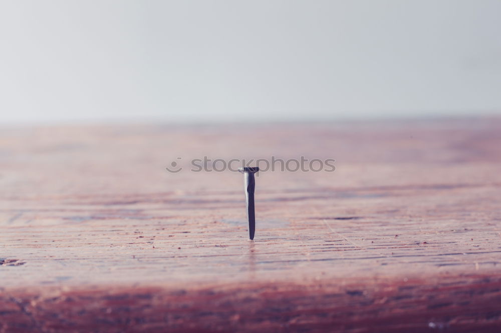 Similar – Image, Stock Photo hand with shell in the beach