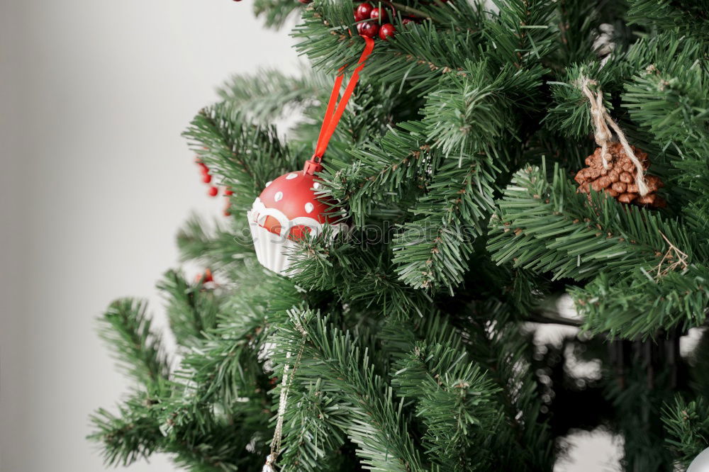 Similar – Image, Stock Photo Railings are embellished and wrapped with fir branches.festivities in Creußen