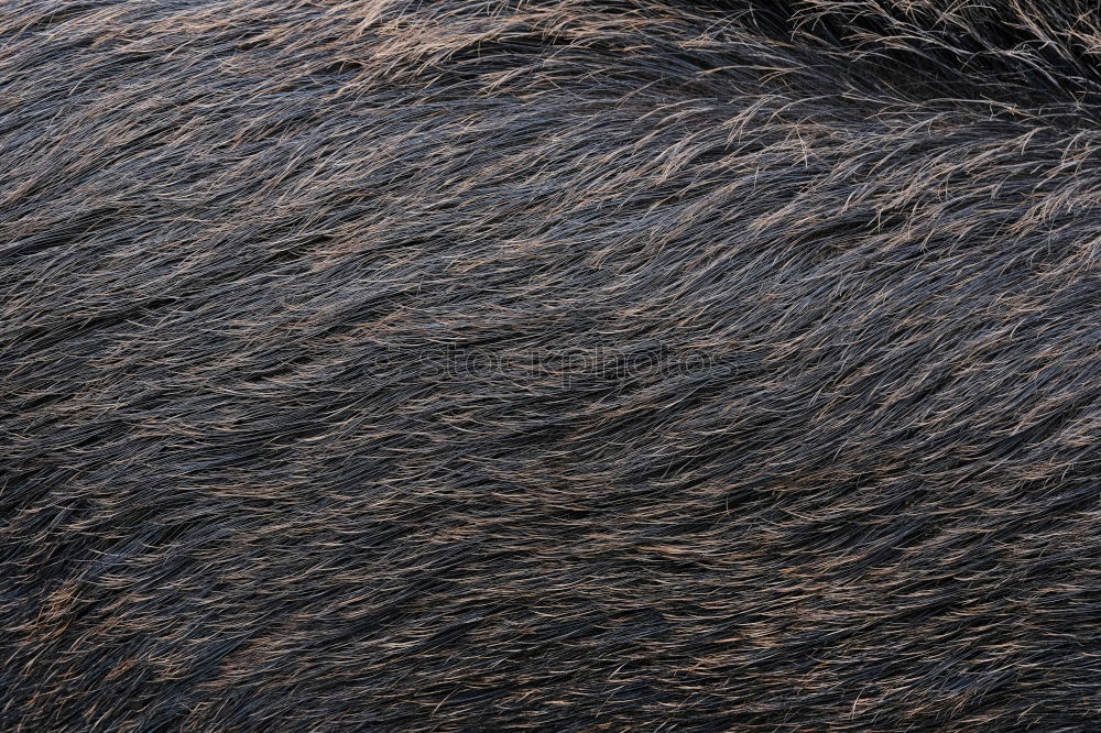 Similar – Image, Stock Photo Fog water on Table Mountain