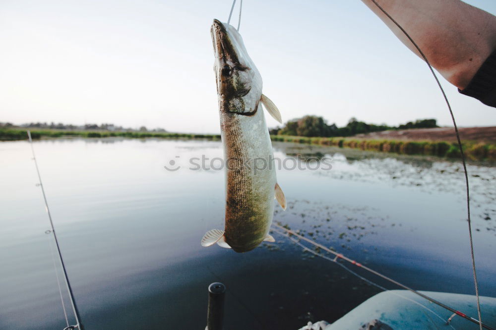 Similar – Fisherman caught a fish