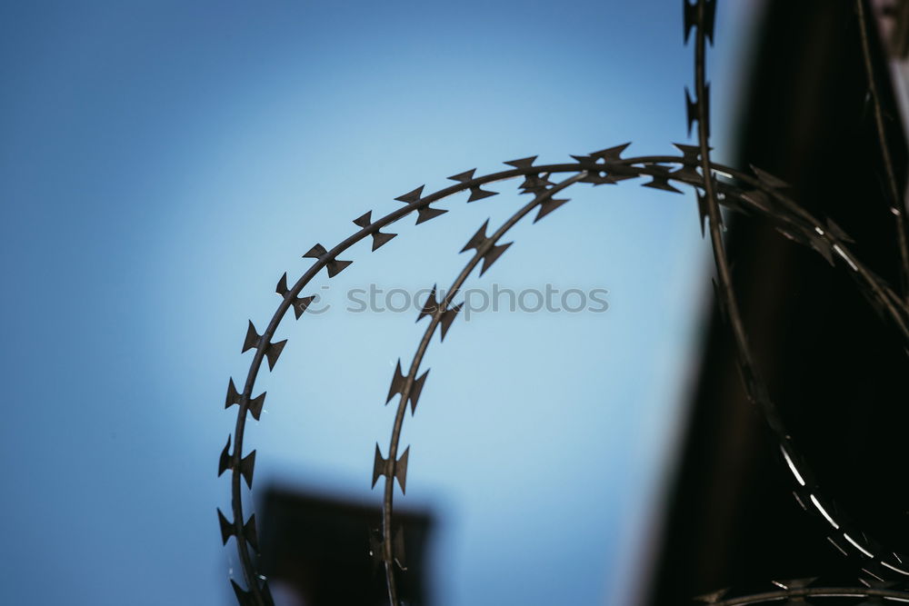 Similar – Fence with a barbed wire