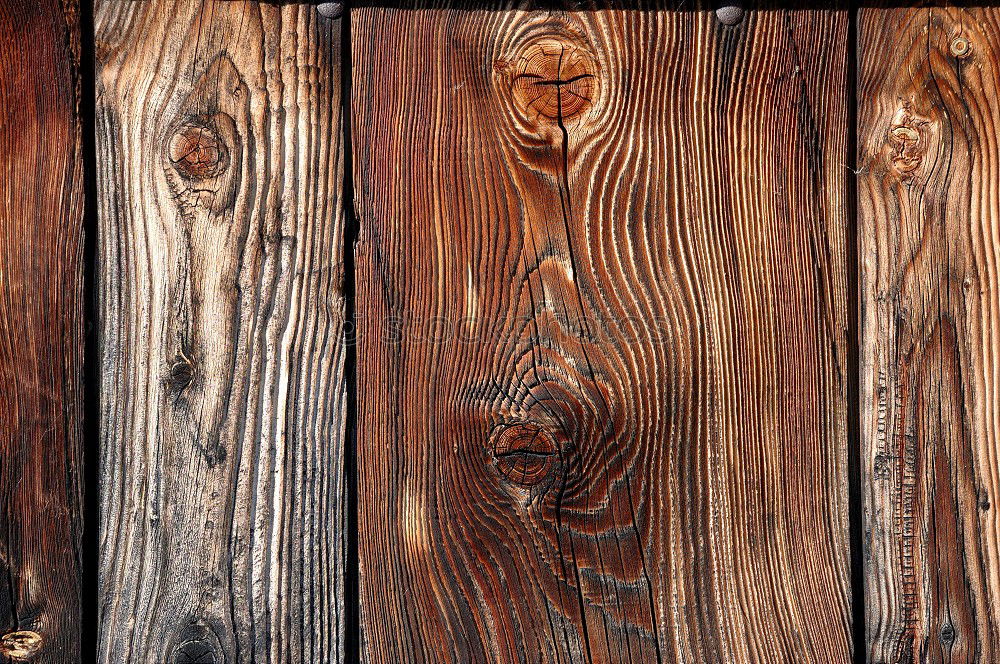 Image, Stock Photo Not all wood Harmonious