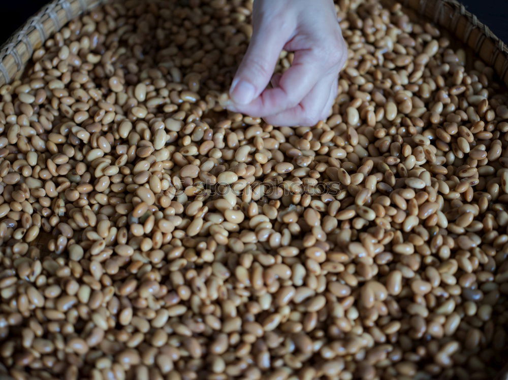 Similar – Image, Stock Photo Dry spices on counter
