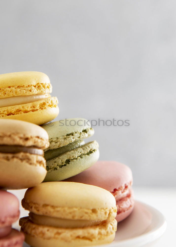 Similar – Image, Stock Photo Colorful macarons on white wooden table