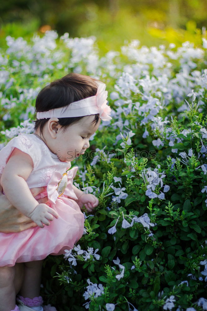 Similar – Image, Stock Photo Emma with Schnneeglöckchen